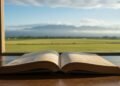 Memahami Esensi Copywriting: Seni dan Ilmu Membujuk Konsumen