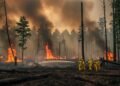 Sebuah hutan yang padat dengan asap bercampur dari beberapa area, menunjukkan adanya kebakaran hutan yang terus berlangsung. Di latar belakang, sebuah tim pekerja hutan berpakaian perlindungan yang me