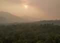 Sebuah hutan yang padat dengan langit kabut, menunjukkan adanya asap partikulat dari Karhutla. Matahari tampak terpotong oleh kabut, mencairkan cahayanya di atas tanah. Di latar belakang, gunung-gunun