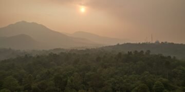 Sebuah hutan yang padat dengan langit kabut, menunjukkan adanya asap partikulat dari Karhutla. Matahari tampak terpotong oleh kabut, mencairkan cahayanya di atas tanah. Di latar belakang, gunung-gunun