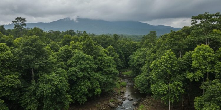 Prakiraan Hujan di Banjarnegara-Blora, Jawa Tengah Hari Ini Sebidang hutan hijau pekat dengan daun-daun berbagai warna hijau bergerak lembut oleh angin. Di latar belakang, pegunungan kabut menandakan awan yang mendekat. Langit berawan tebal dengan warna abu-ab