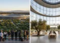 Memahami IoT: Panduan Lengkap dari Konsep ke Praktik Visual description of the Apple Park in Cupertino, California, showcasing its circular design and modern glass exterior with a serene green landscape and an open atrium filled with natural light.