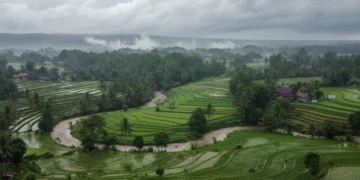Lanskap hijau dan lembah di Purwokerto dan Brebes, Jawa Tengah, dengan hujan deras. Latar belakangnya adalah rumah tradisional Jawa dengan atap unik, berpadu dengan alam sekitar. Langit berawan tebal