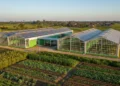 Kadis PU Makassar Bersepeda Tinjau Lokasi Lorong Wisata A modern agricultural facility with greenhouses and solar panels in Makassar, Sulsel, symbolizing the advancement in farming technology and the positive impact of the Electrifying Agriculture program