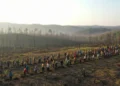 Ratusan warga Kalimantan Timur menanam benih pohon di lahan terdampak karhutla, menunjukkan gotong royong dalam upaya pencegahan perkebunan sawit dan pelestarian lingkungan.