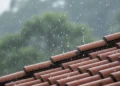 BMKG Peringatkan Bibit Siklon 91S: Potensi Hujan Lebat & Petir Tetesan hujan yang jatuh di atas genting tanah liat basah dengan latar belakang hutan hijau kabut tipis.
