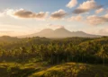 Foto udara atau pemandangan langit cerah berawan di atas pepohonan hijau dengan cahaya matahari pagi yang hangat.