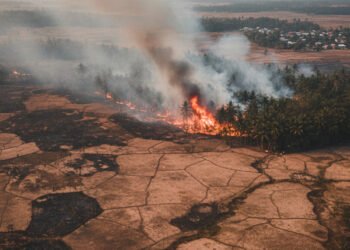 Status Darurat Bencana Kekeringan dan Karhutla di Sidrap Diperpanjang Hingga 2026: Ancaman Berkelanjutan dan Langkah Penanganan