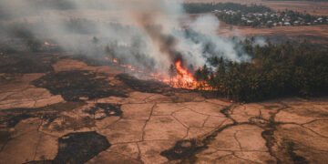 Status Darurat Bencana Kekeringan dan Karhutla di Sidrap Diperpanjang Hingga 2026: Ancaman Berkelanjutan dan Langkah Penanganan